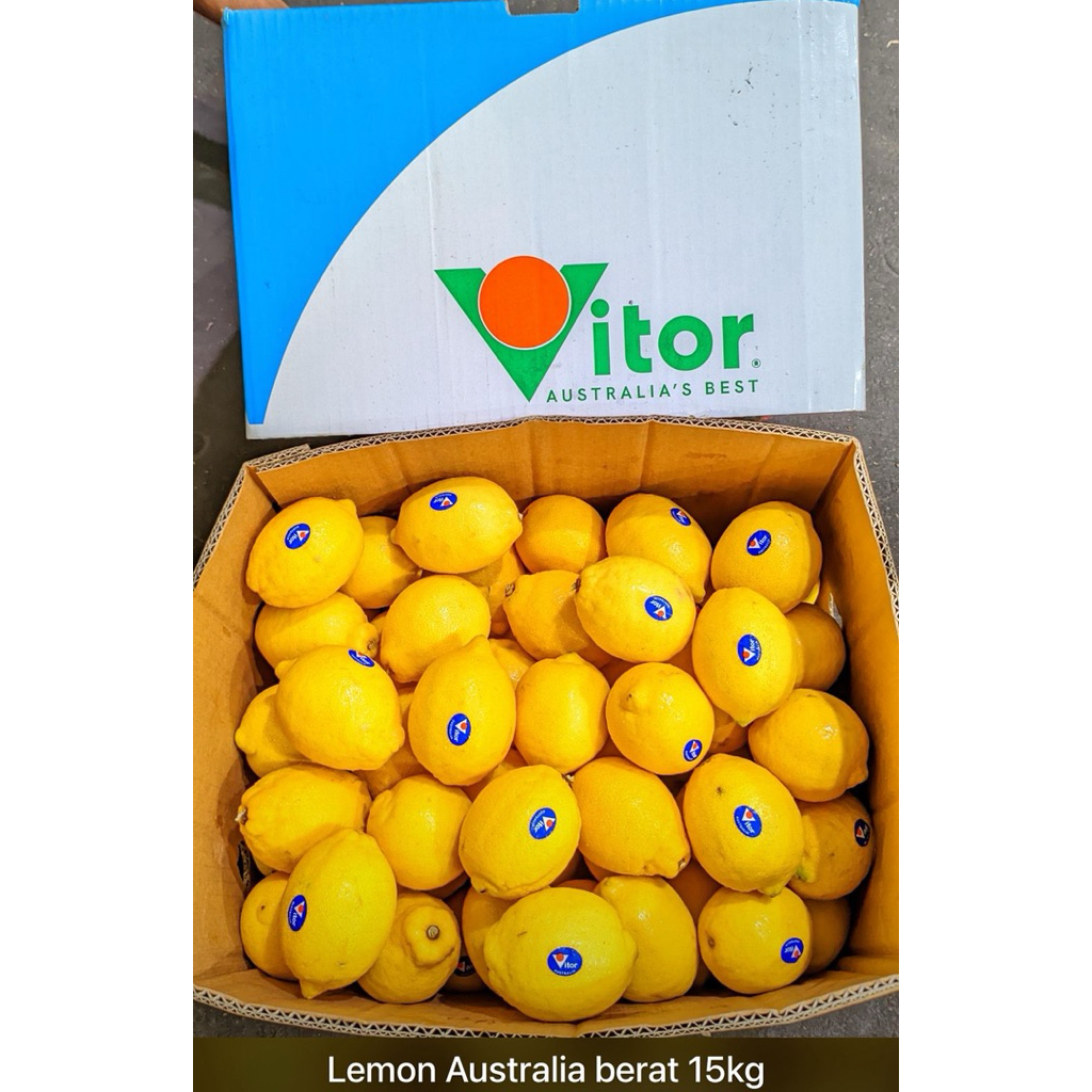 Jual LEMON IMPORT 1 DUS RRC & AUSSIE FRESH | Shopee Indonesia