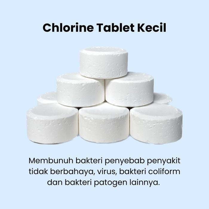 Jual Tablet Disinfektan Klorin Chlorine Bio Septic Tank – 10 Tablet per ...