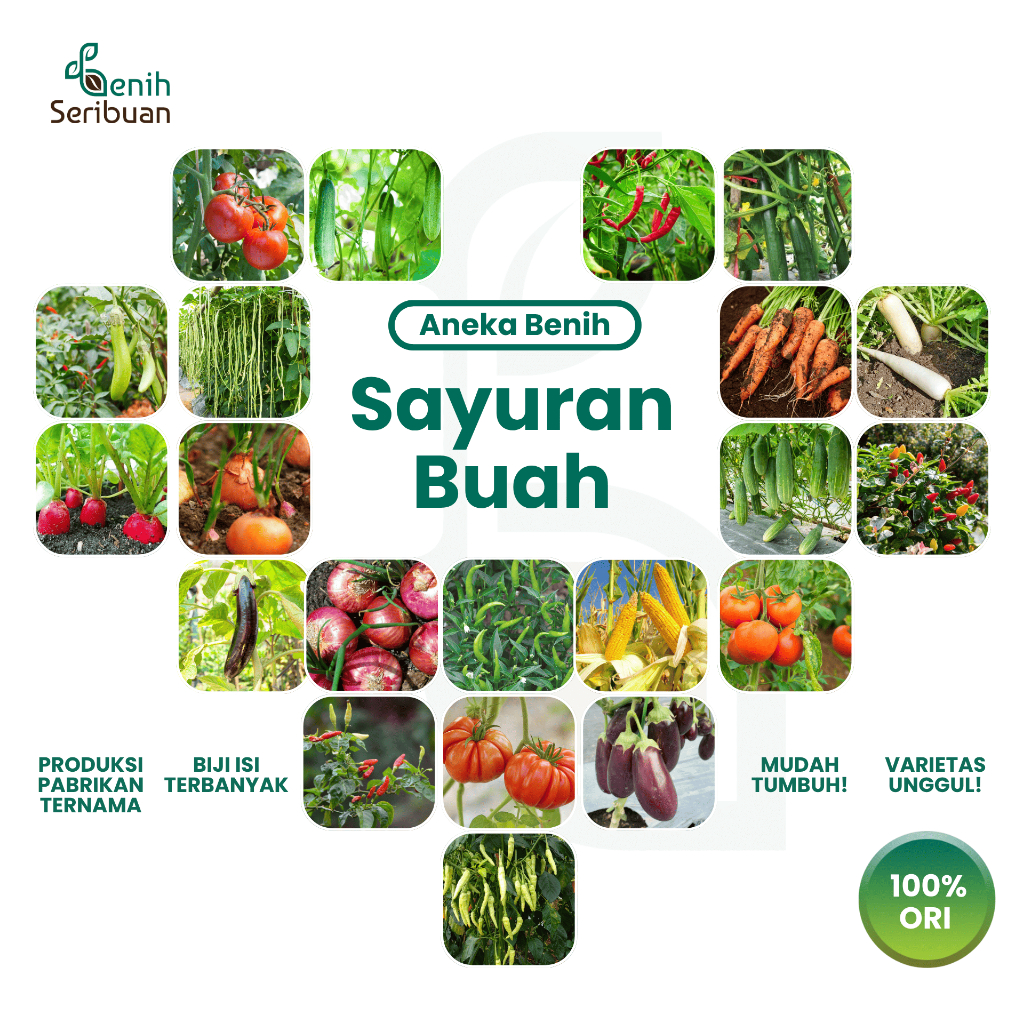 BENIH SERIBUAN - Aneka Bibit Sayuran Buah Varian Unggulan