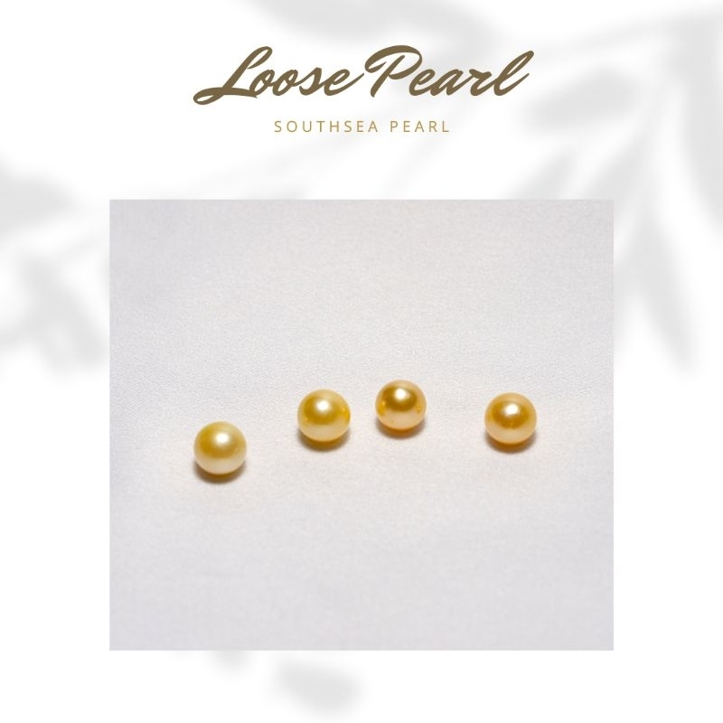 Jual Southsea Pearl Gold Color Mutiara Air Laut Asli dari Lombok 1214 ...