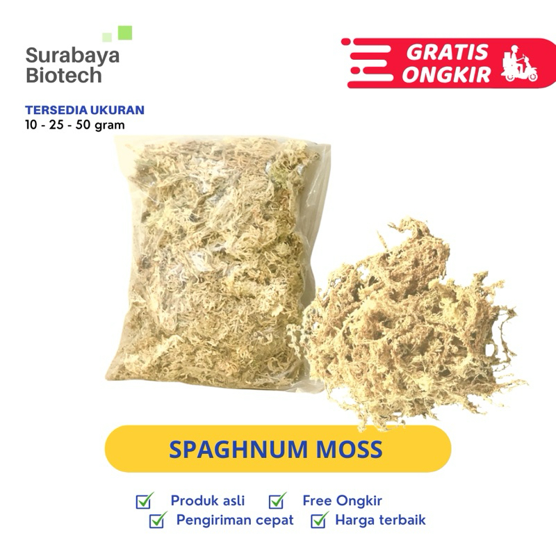 Jual Sphagnum Moss putih - lumut hidup media tanam | spagnum spaghnum ...