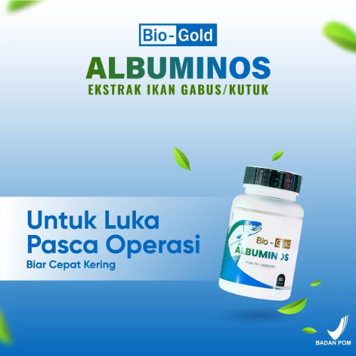 Jual Albuminos Bio Gold Albumin Ikan Gabus 60 Kapsul Membantu Luka ...