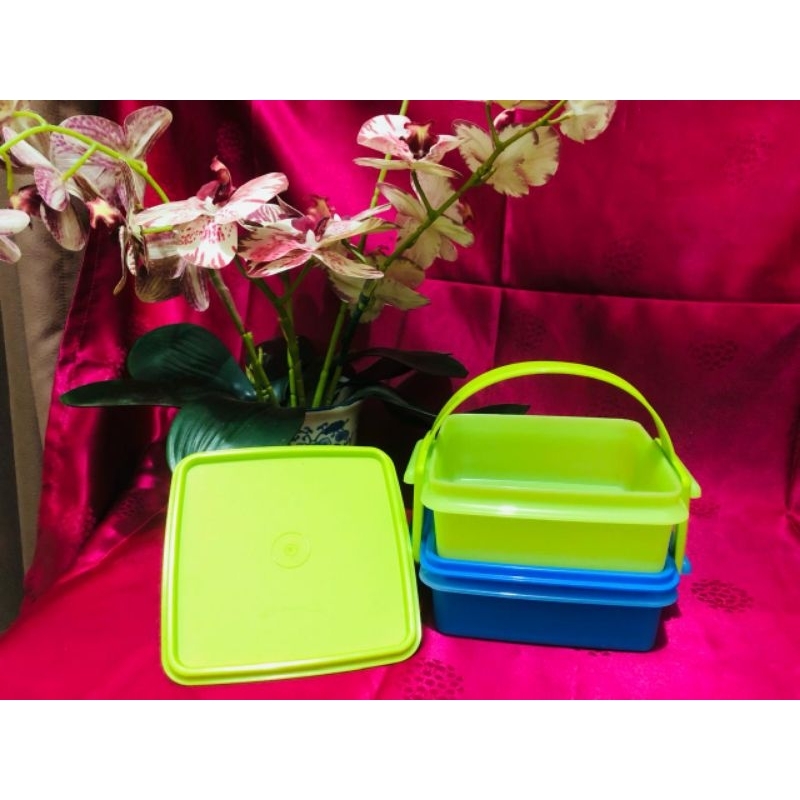 Jual Rantang 2 susun Tupperware - Small Carry all set 900ml | Shopee ...