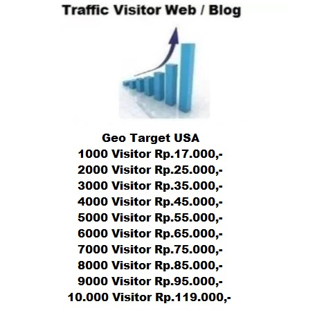 Jual Jasa Traffic 1000 Sampai 10.000 Visitor Blog & Website Geo Target USA