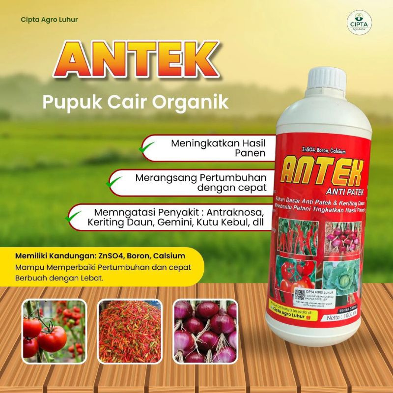 Produk ANTEK Merah Kuning Original