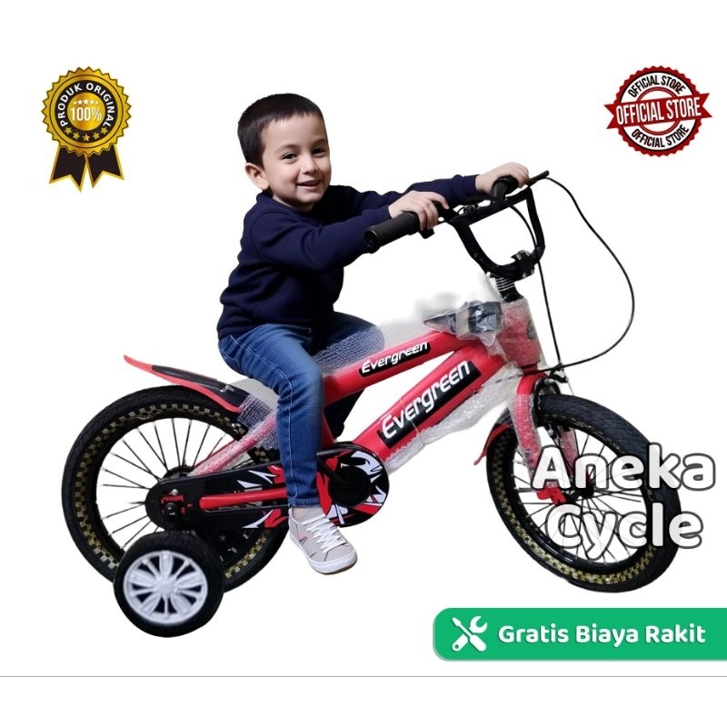 Jual Sepeda Anak Roda Empat Cowok BMX Evergreen Logan 16 12 Sepeda Anak