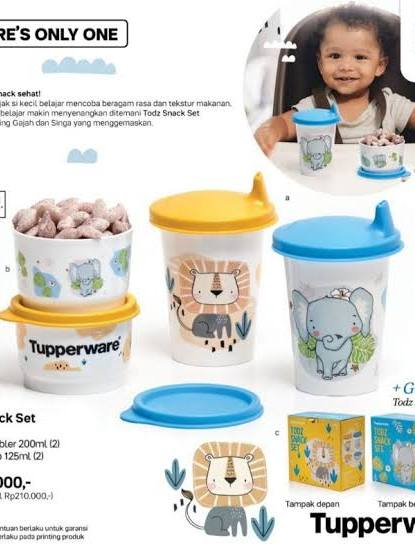 Jual TUPPERWARE FLASH SALE - Todz Snack Set - Piranti wadah snack dan ...