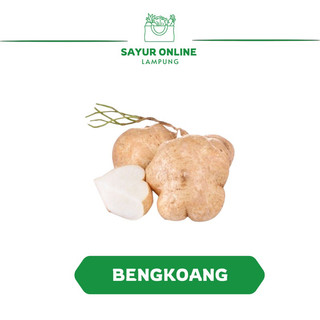Bengkoang Segar 1 Ikat