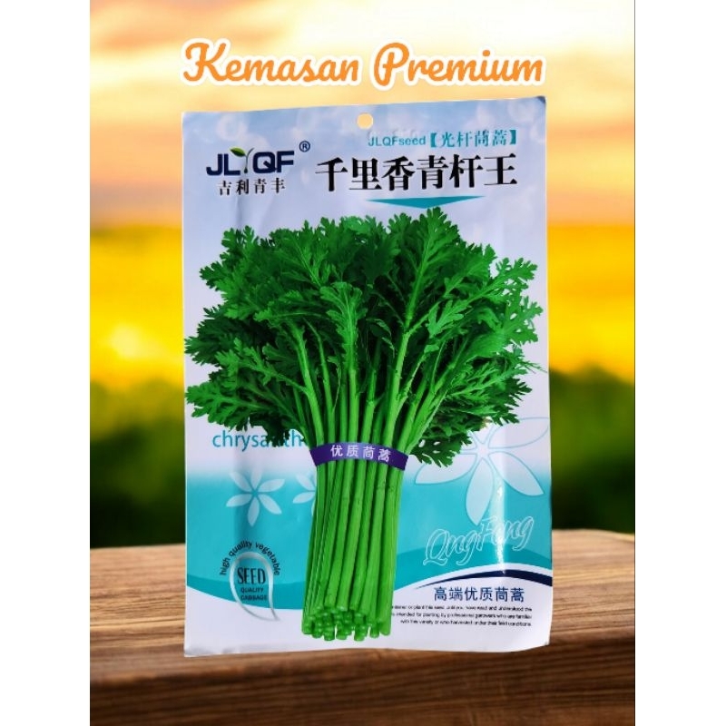 (KEMASAN PREMIUM) BIJI/BENIH SAYURAN TANG OH IMPORT ( isi -+3 Gram)