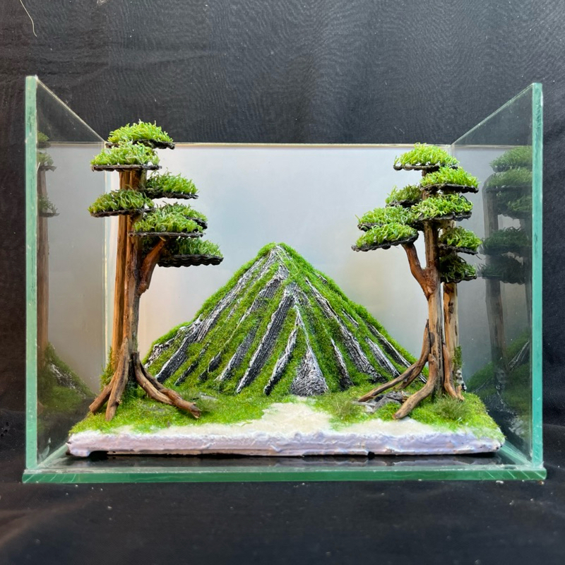 Jual hardscape jungle mini dengan gunung | Shopee Indonesia