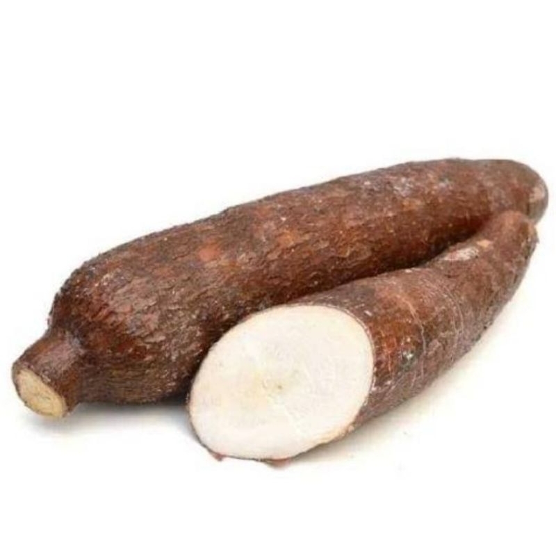 Jual UBI KAYU ROTI 1 Kg | Shopee Indonesia