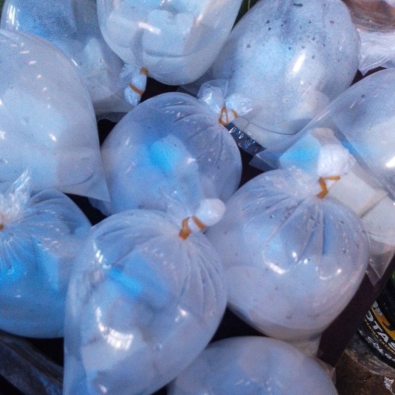 Jual Tahu Sumedang Terlengkap & Harga Terbaru Juli 2026 | Shopee Indonesia