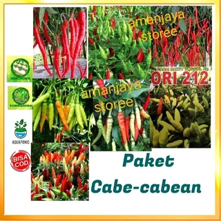 Jual Bibit Cabe Terlengkap & Harga Terbaru Februari 2026 Shopee Indonesia