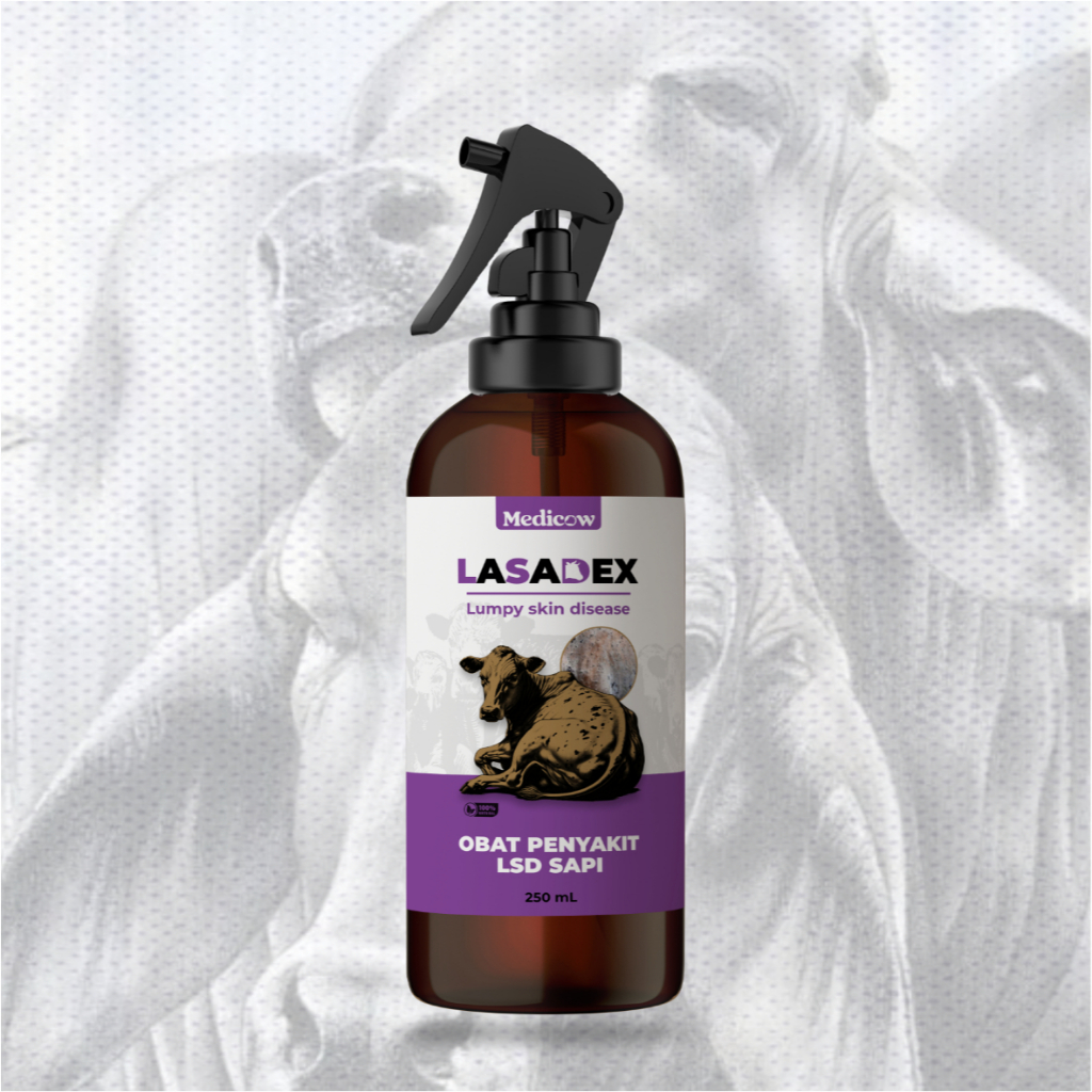 Jual Medicow Lasadex (Obat Lato lato) Lumpy Skin Disease Sapi spray ...