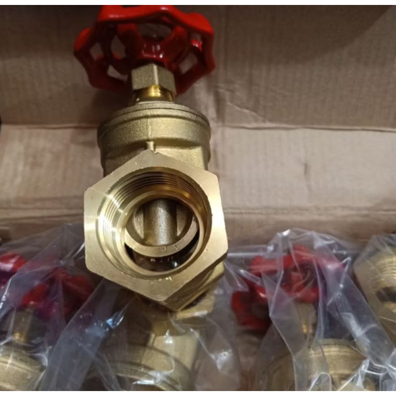 Jual Riser gate Valve 2 inch / Gate Valve Riser 2 inch baru | Shopee ...