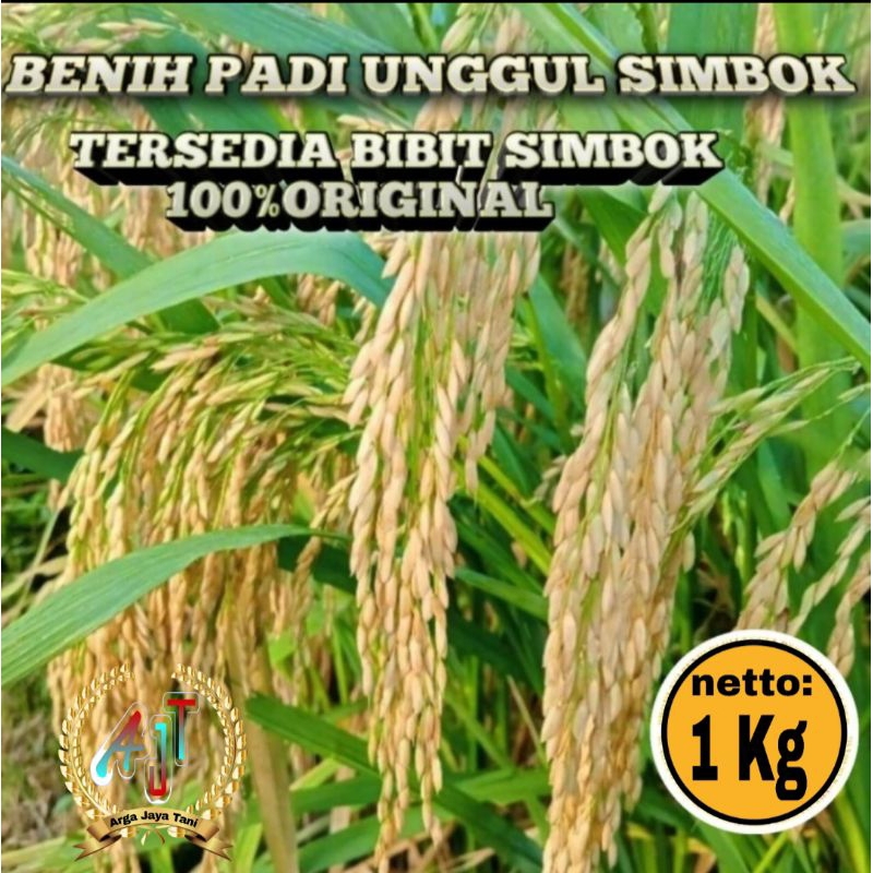 Jual BENIH PADI SIMBOK BERKUALITAS TINGGI 1KG | Shopee Indonesia