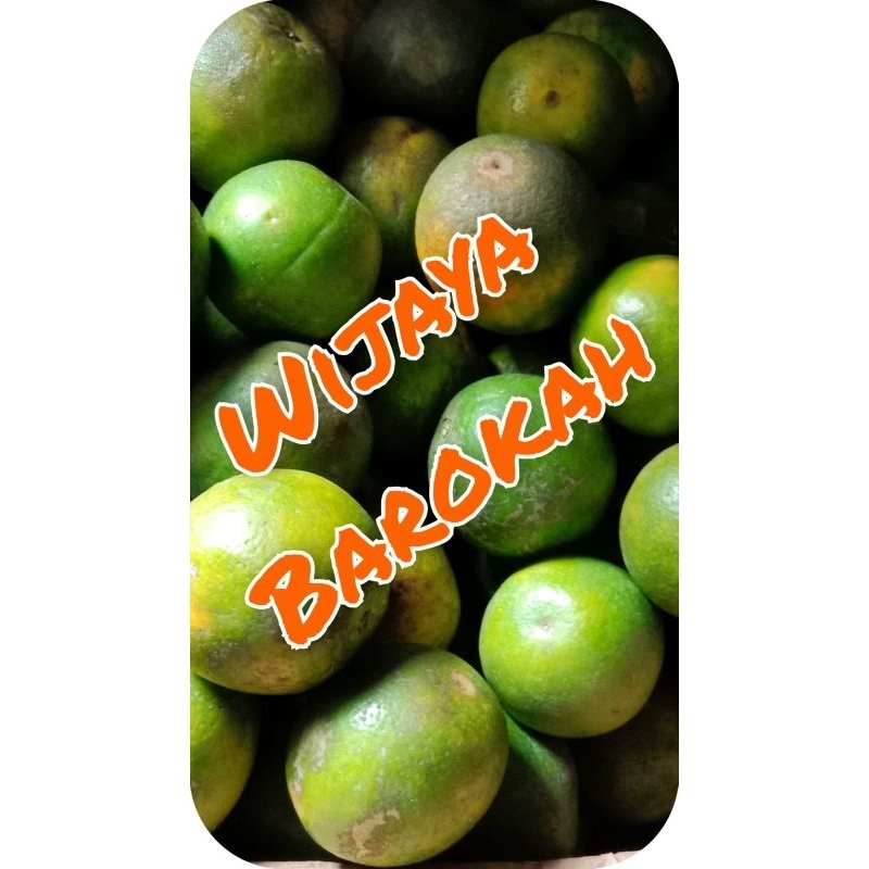 Jual PO- Jeruk Baby Java Malang Fresh 1Kg (size Campur) | Shopee Indonesia