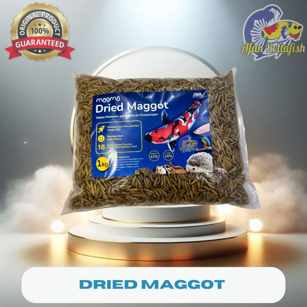 Jual Maggot Kering 1 Kg Grade Premium Magma Dried Maggot Pakan Makanan ...