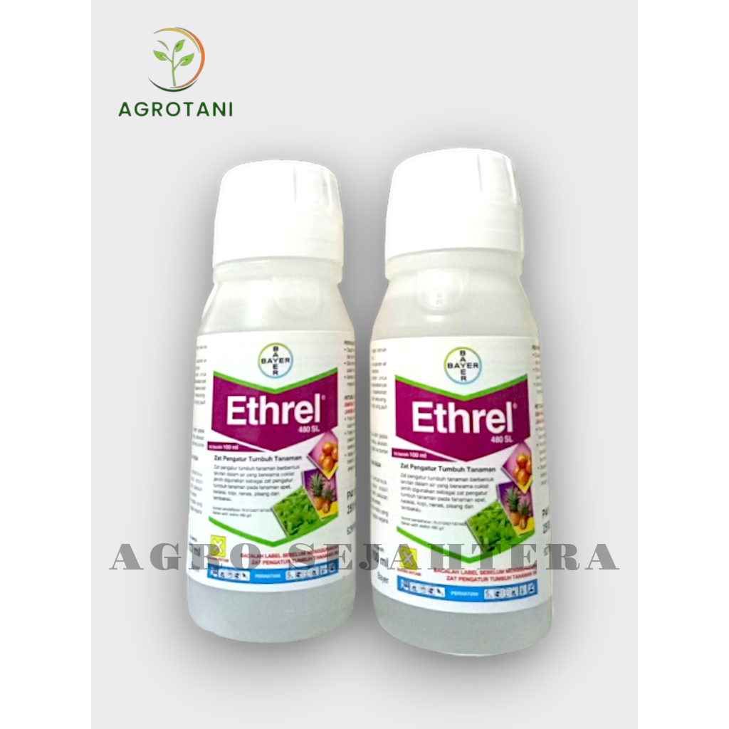 Jual Ethrel 480 SL - 100 ml (ZPT) Memberi Warna, Menguatkan Tekstur ...
