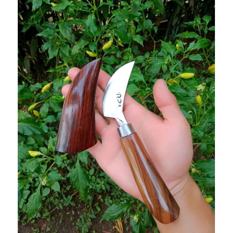 Jual Pisau Raut Ukir Ukuran Kecil Untuk Kerajinan Kayu Dan Bambu Siap ...