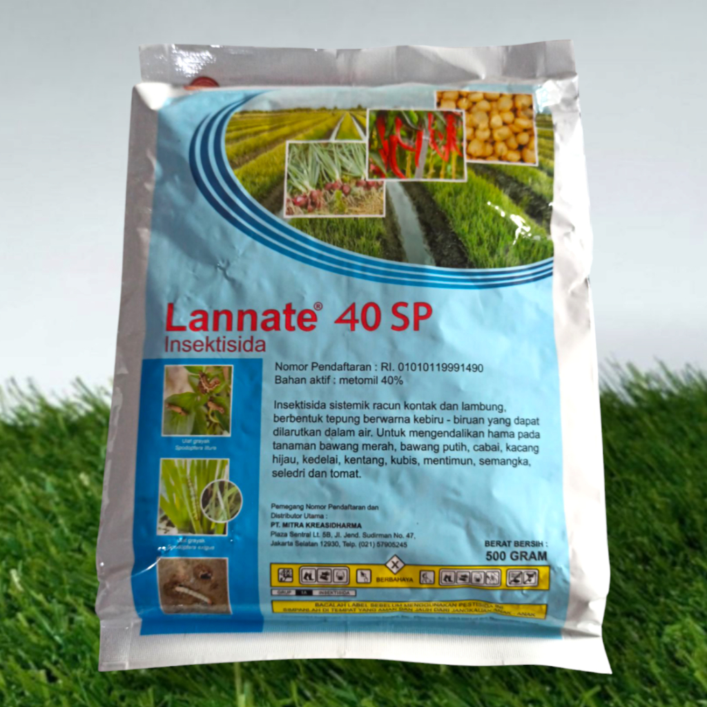 Ormonda ajablanib xxx