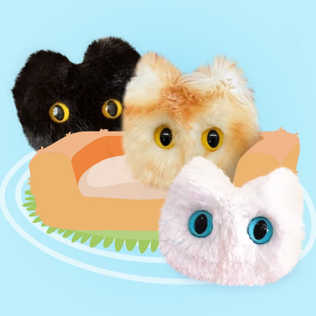 Jual Worry pet Cat Series - Sensory toy for mental health anxiety buddy ...