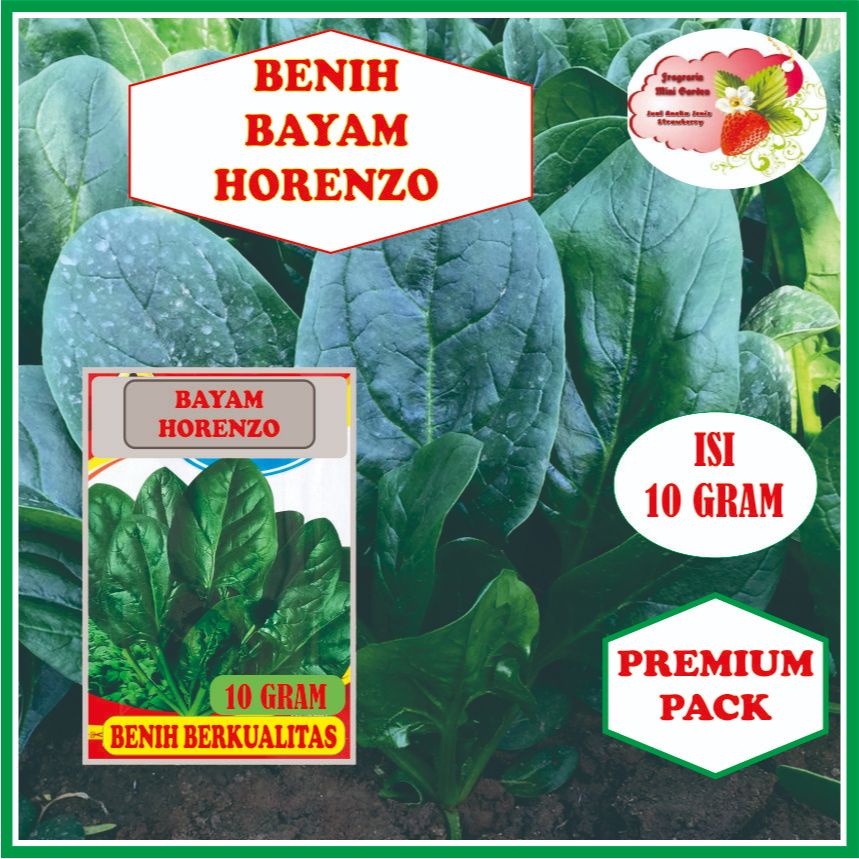 BENIH BAYAM HORENZO ISI 10 GRAM