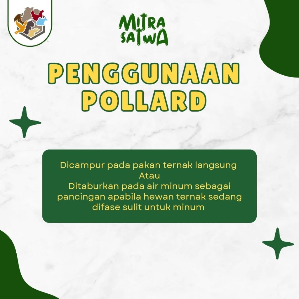 Jual [MS] Pollard Gandum Cap Angsa 1 kg Polar Sapi Kambing Unggas ...
