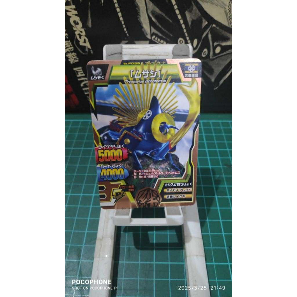 Jual kartu animal kaiser bronze musashi v3 japan card | Shopee Indonesia