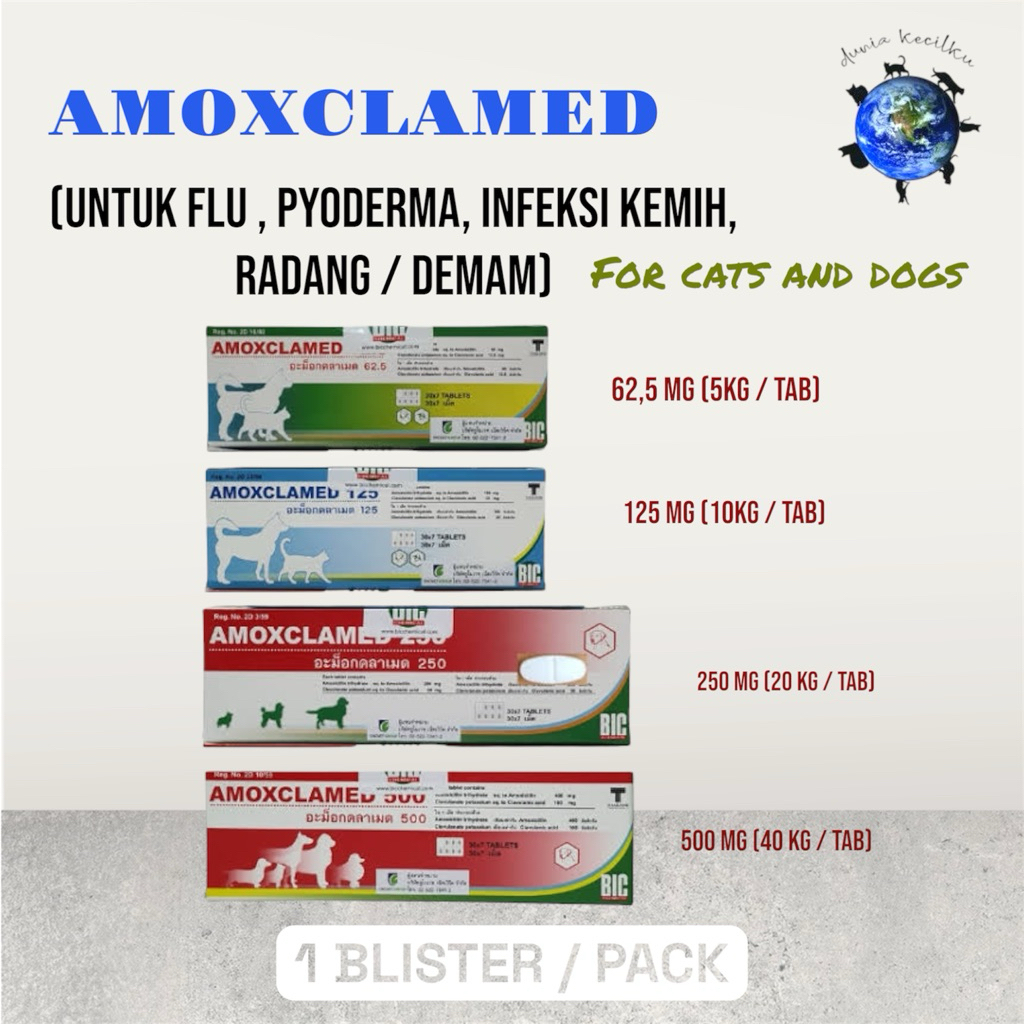 Jual Amoxclamed Kucing Anjing Tablet Atasi Flu / Infeksi Kemih ...