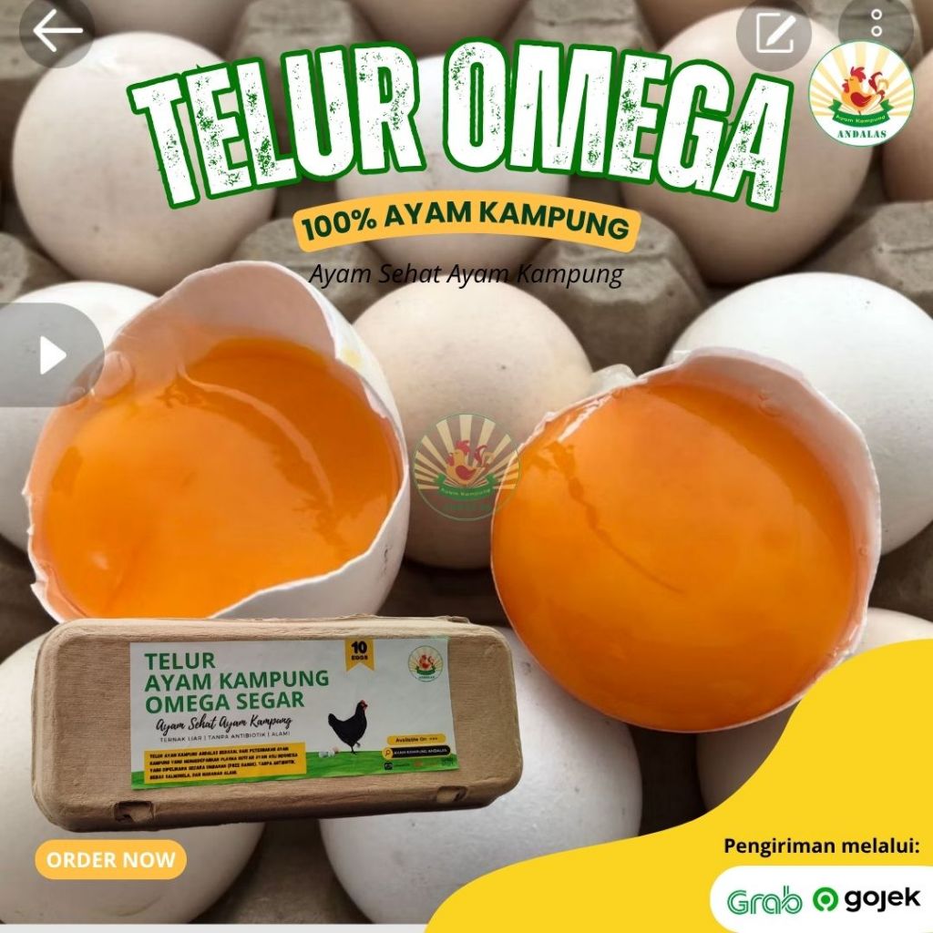 Jual Telur Ayam Kampung Omega Free Range isi 10 butir | Shopee Indonesia