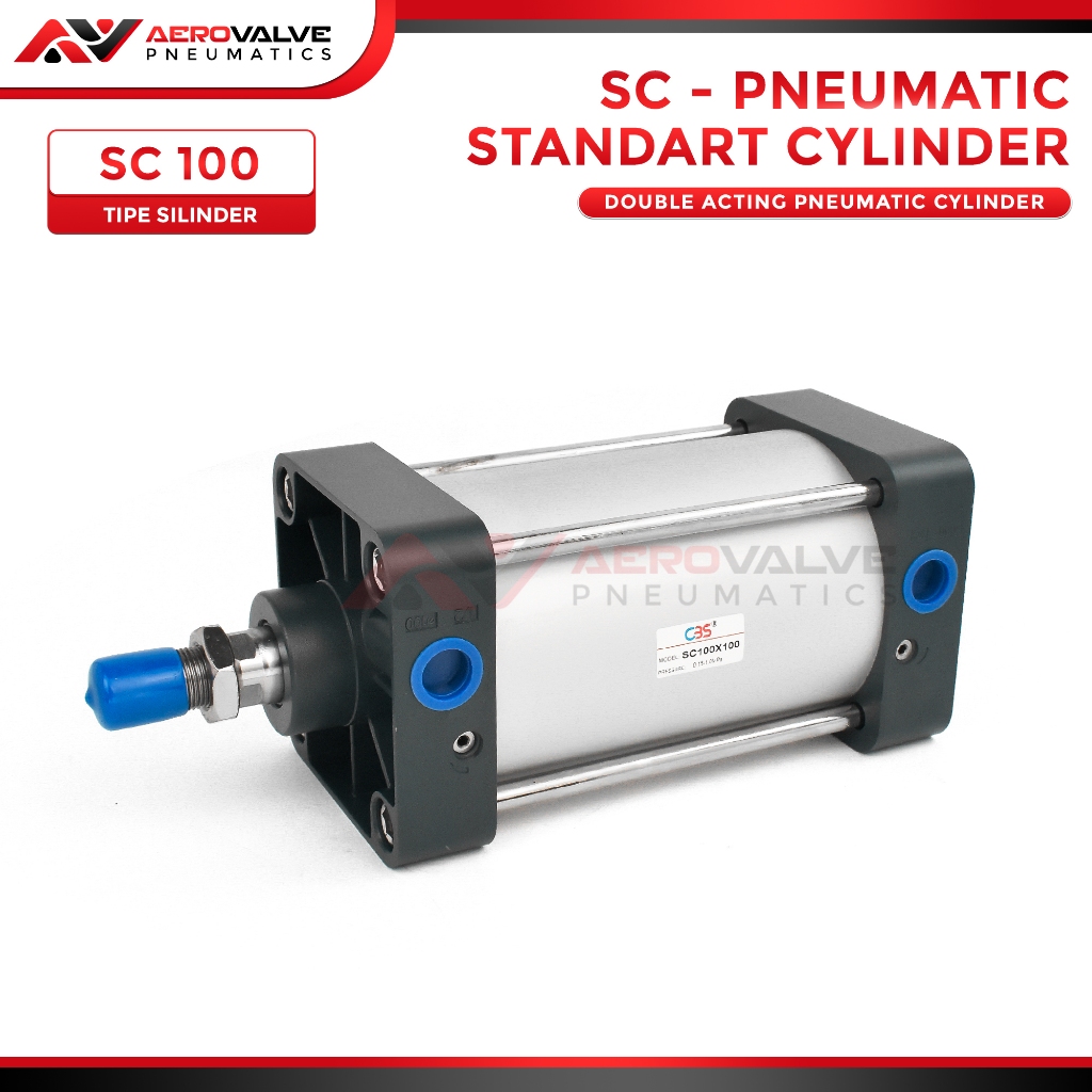 SC 100x100 Luftzylinder Pneumatikzylinder Zylinder Aircylinder