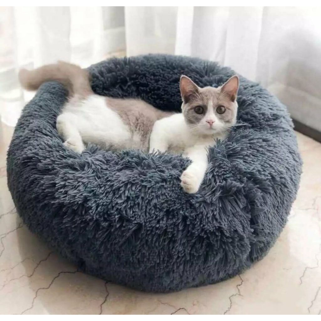 Jual bantal bulu kasur kucing / dogi | Shopee Indonesia