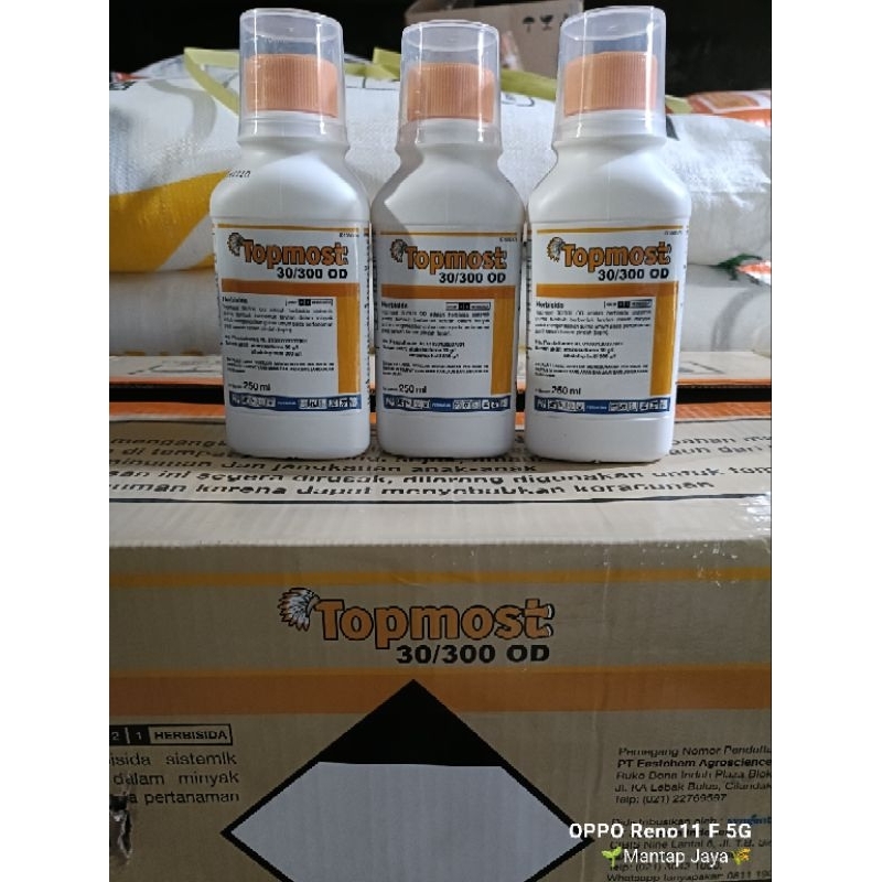 Jual Topmost | Shopee Indonesia