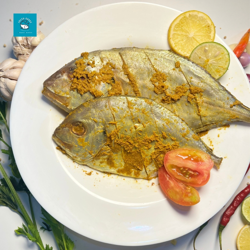 Jual Ikan Kuwe Terlengkap & Harga Terbaru Agustus 2026 | Shopee Indonesia