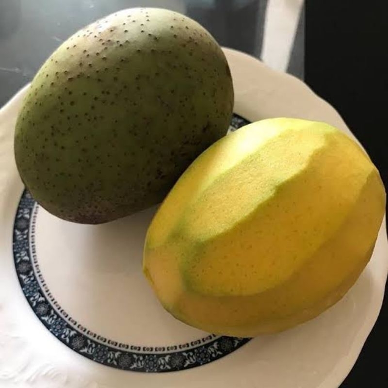 Jual buah mangga pakel bacang limus fresh 1 kg | Shopee Indonesia