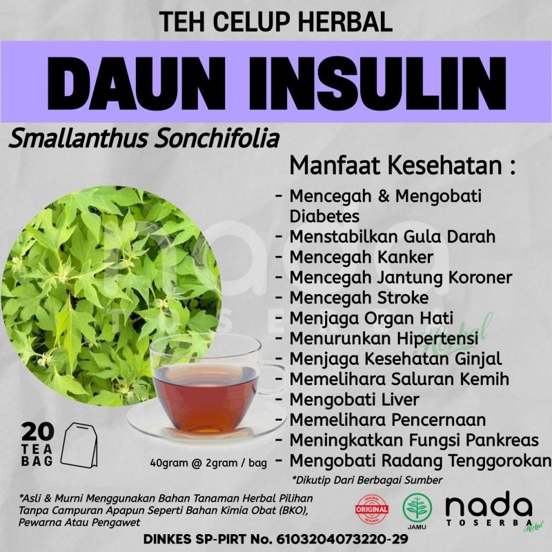 Teh Celup Herbal DAUN INSULIN Isi 20 Tea Bag | Diabetes & Menyehatkan Pankreas | Smallanthus Sonchifolia