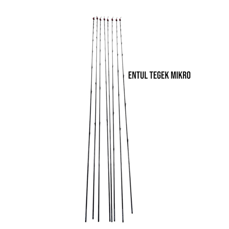 Jual Entul Tegek 40cm Mikro Carbon Solid Tulcuk Buat Tegek | Shopee ...
