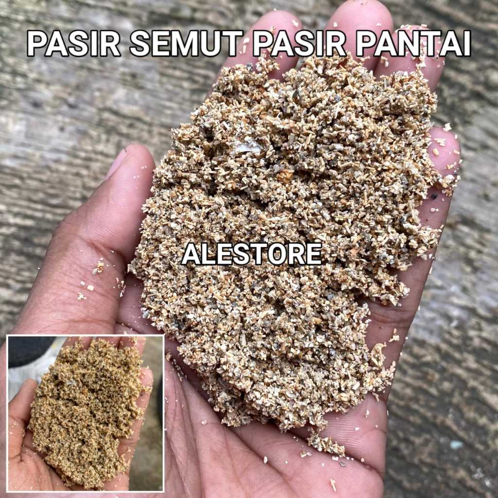 Jual PASIR SEMUT / PASIR PANTAI HALUS 500gr / PASIR AQUARIUM / PASIR ...
