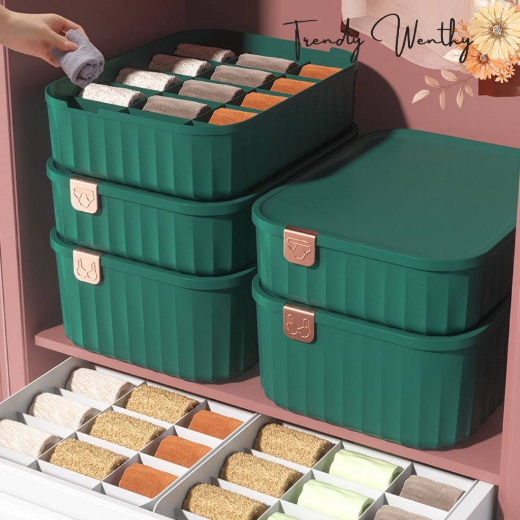 Jual TNW Kotak Penyimpanan Bersekat Dengan Penutup Organizer ...