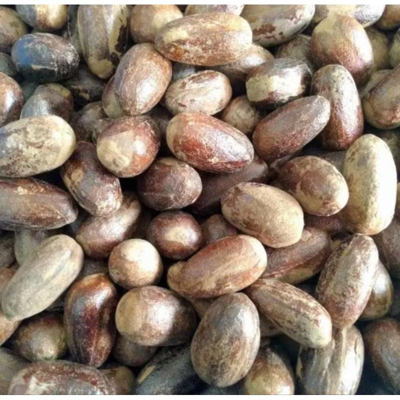 Jual BIJI PALA lonjong buat masakan 100g | Shopee Indonesia