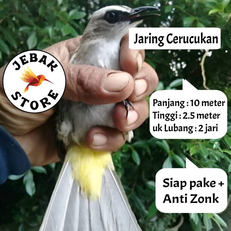 Jual JARING BURUNG CRUCUK TRUCUK JARING 2 IN JARING SIAP PAKE JARING ...