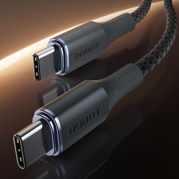 Jual Robot RNCC100 1M / RNCC200 2M USB-C to USB-C Braided Kabel Data ...