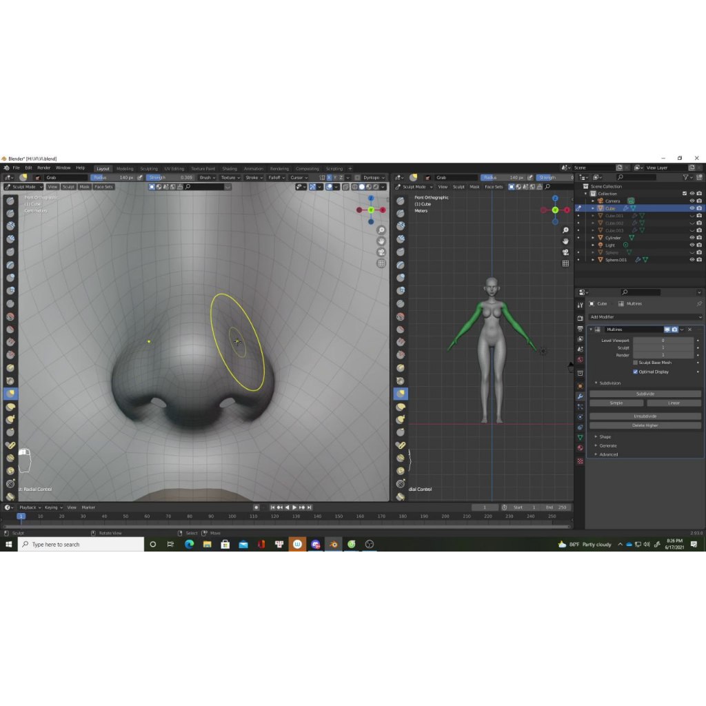 Jual Blender 3D Tutorial FlyCat - Vi FanArt | Shopee Indonesia
