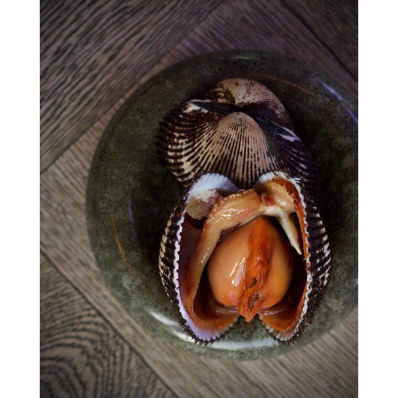 Jual Kerang Bulu Besar 1kg Frozen - Kerang Bulu Frozen 1kg | Shopee ...