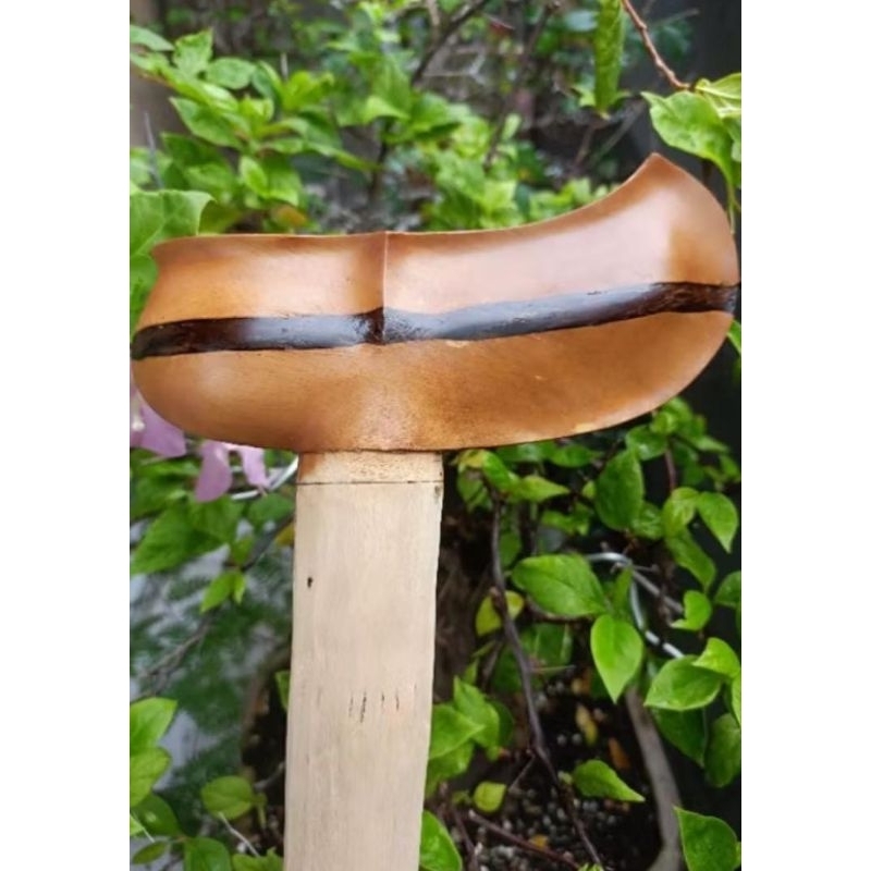 Jual warangka kayu timoho kendit | Shopee Indonesia