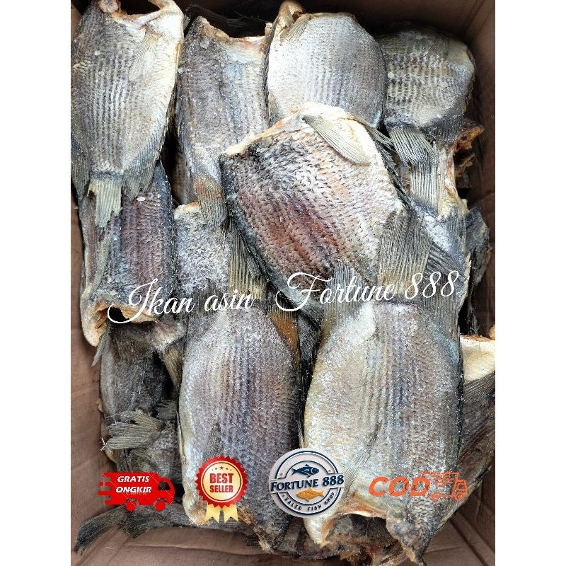 Jual Ikan Asin Tembakang/Biawan Size Jumbo Asli Kalimantan Kualitas ...