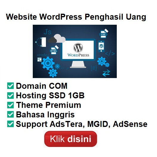 Jasa Pembuatan Website Penghasil Uang Otomatis Theme Premium WordPress.org Domain COM