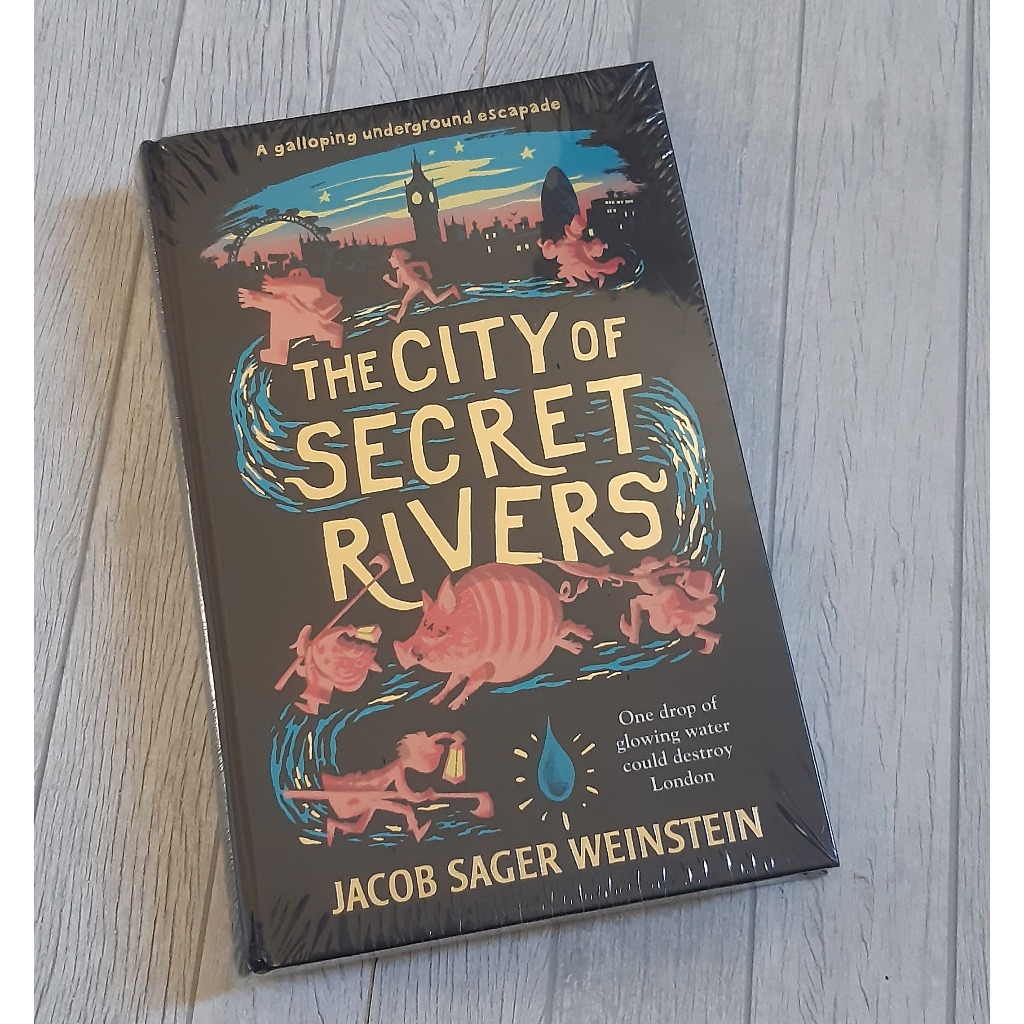 Jual The City of Secret Rivers by Jacob Sager Weinstein (Author ...