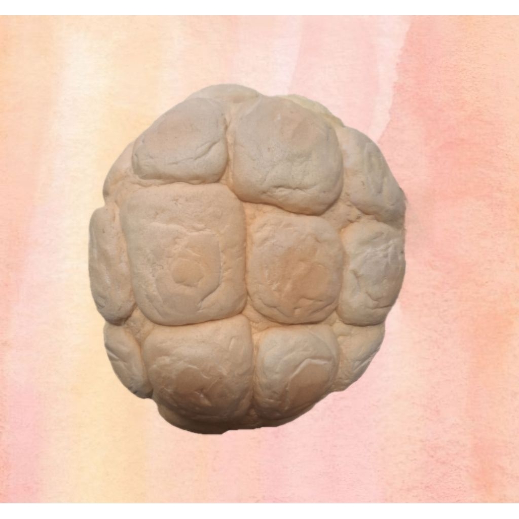 Jual squishy roti jumbo (preloved) | Shopee Indonesia